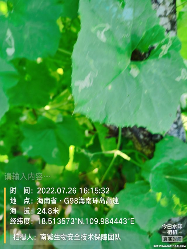 请输入内容…