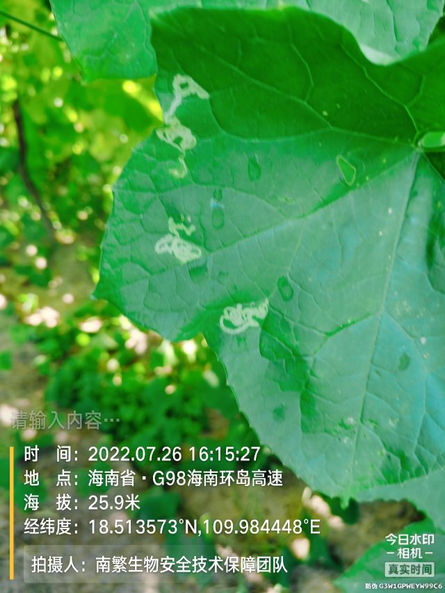 请输入内容…