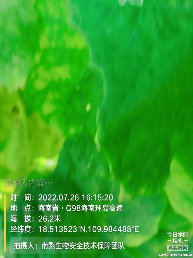 请输入内容…