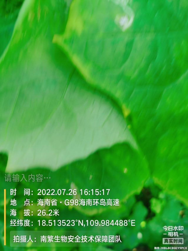 请输入内容…