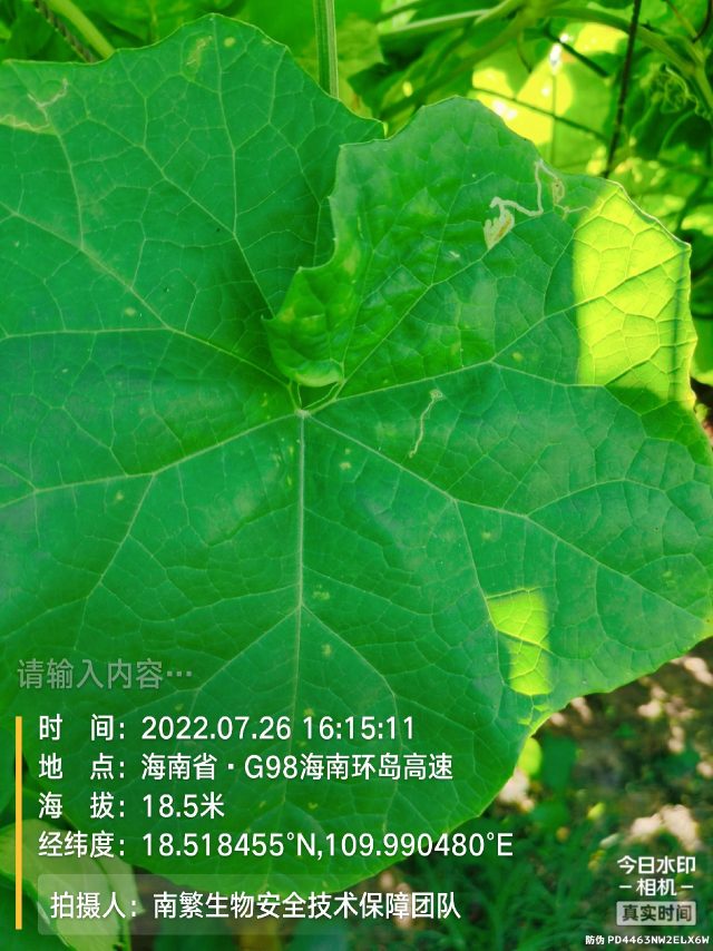 请输入内容…