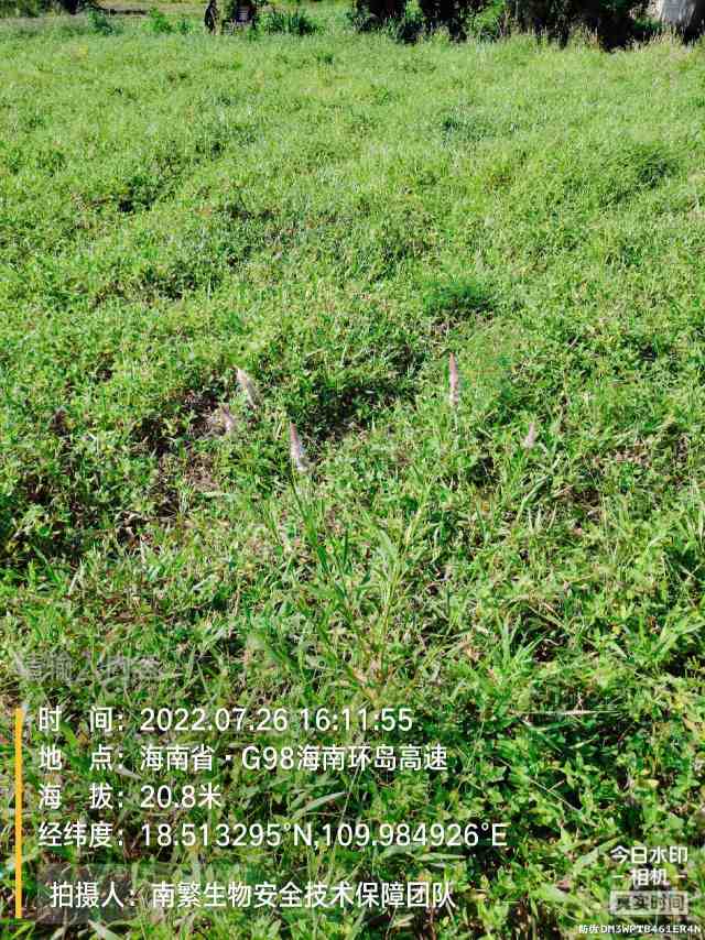 请输入内容…