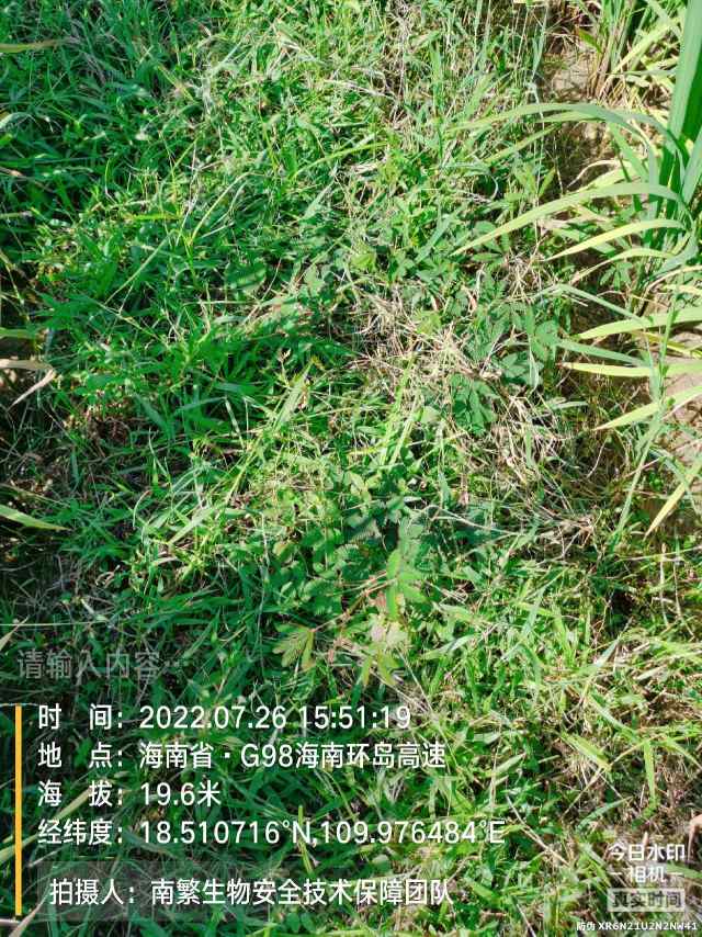请输入内容…