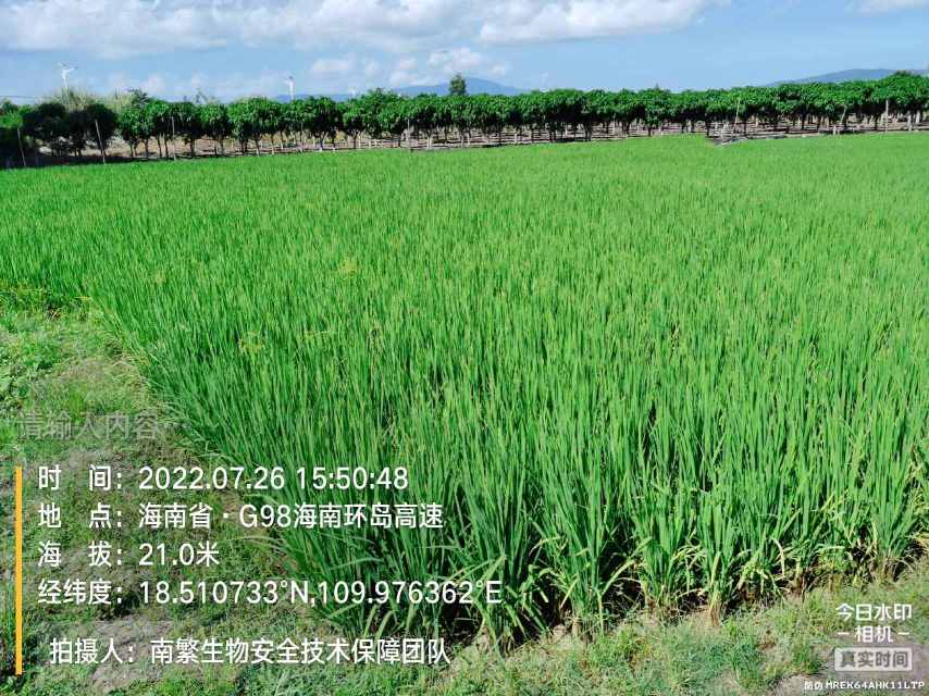 请输入内容…