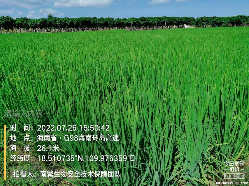 请输入内容…
