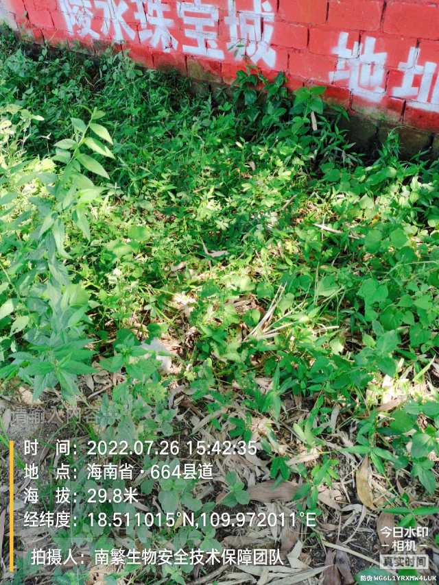 请输入内容…