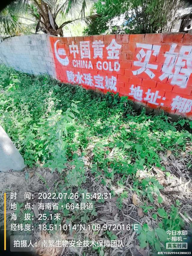 请输入内容…