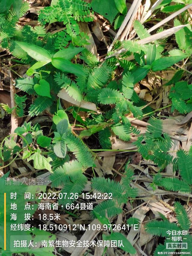 请输入内容…