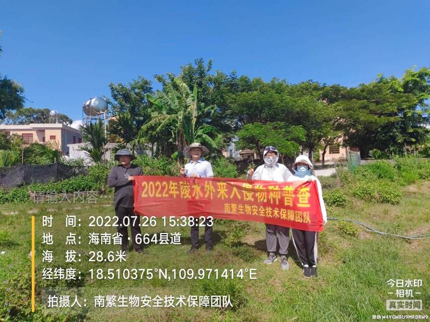 请输入内容…