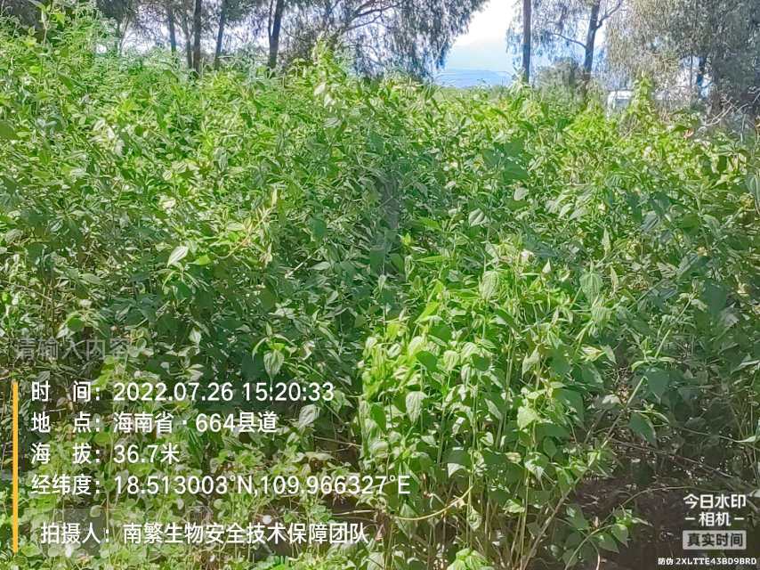 请输入内容…