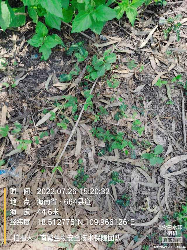 请输入内容…