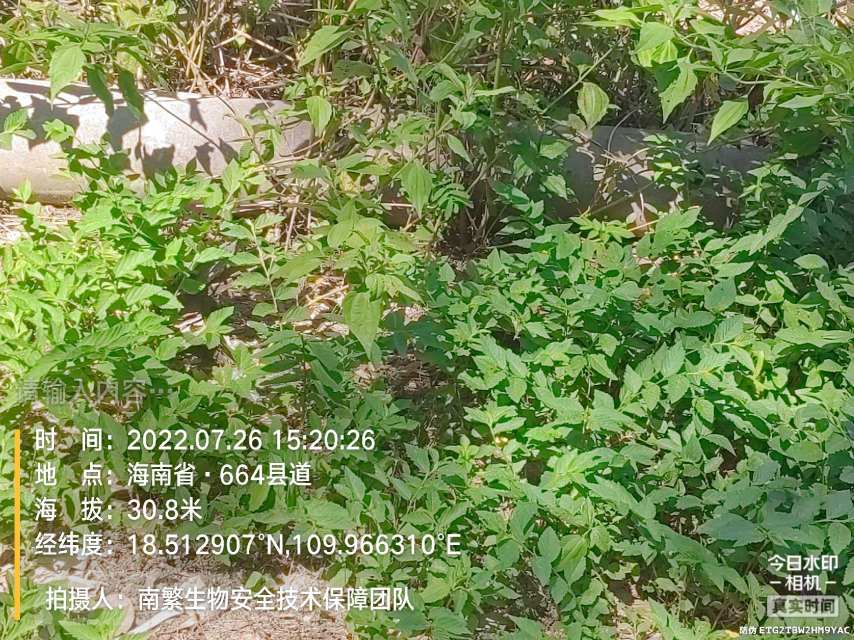 请输入内容…