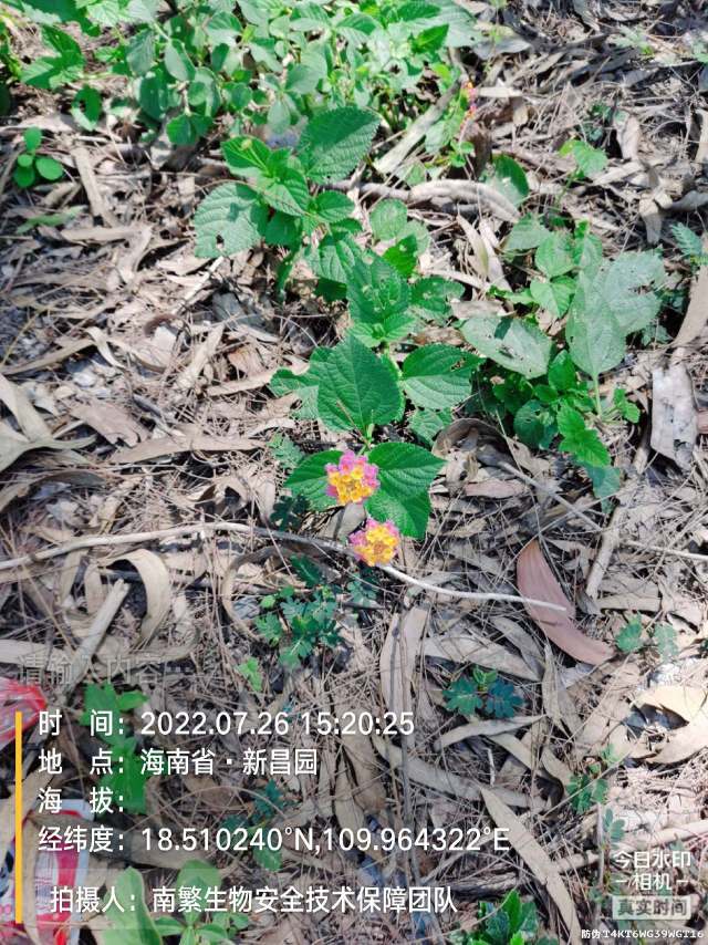 请输入内容…