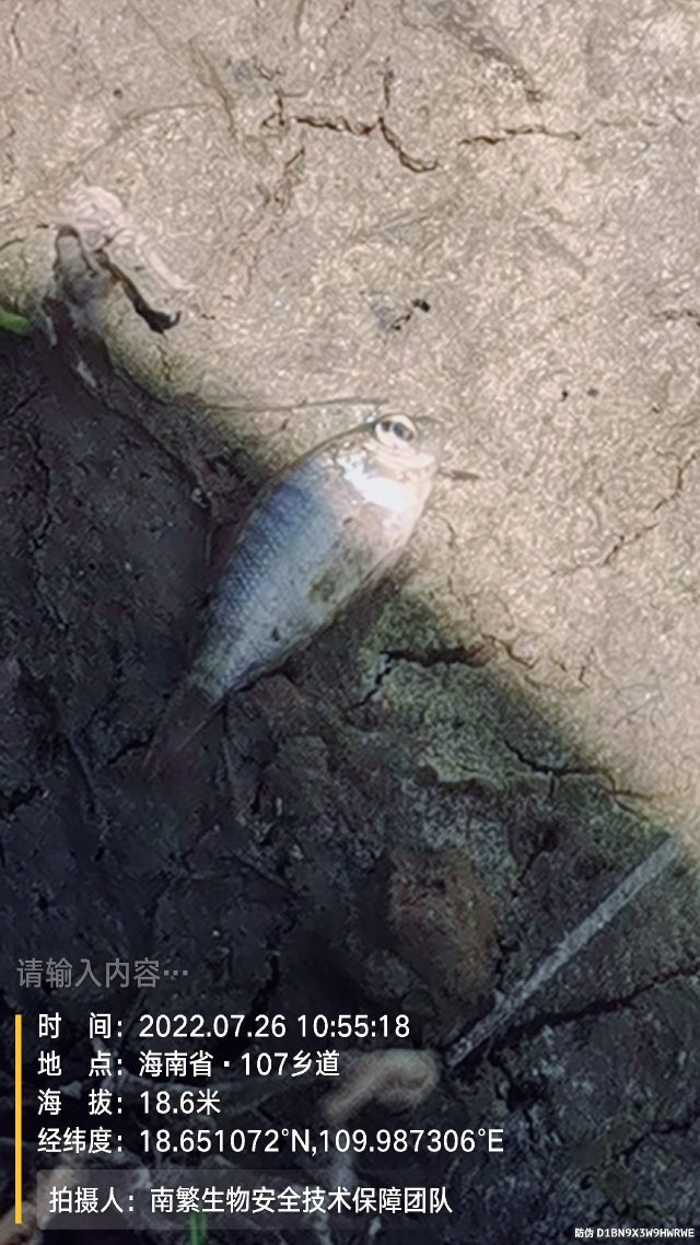 请输入内容…