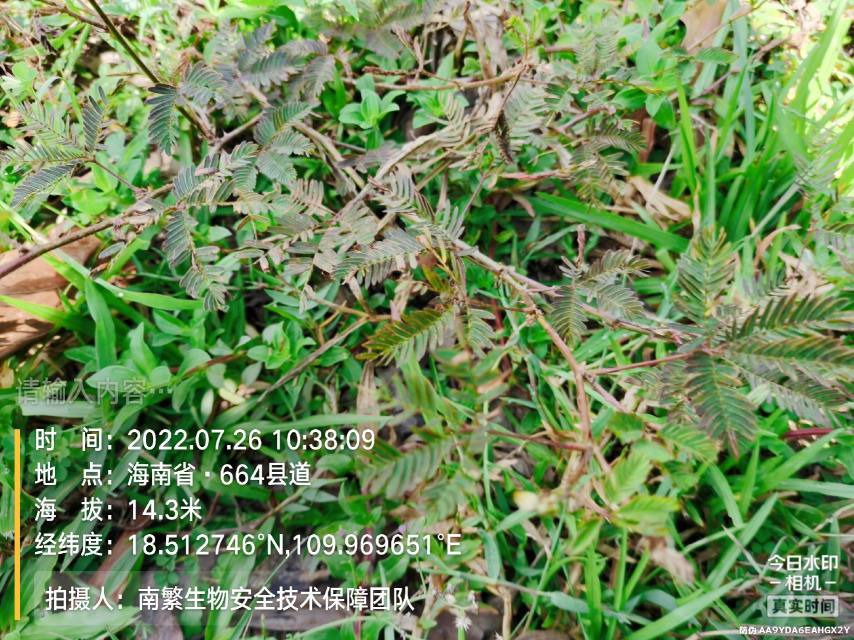 请输入内容…