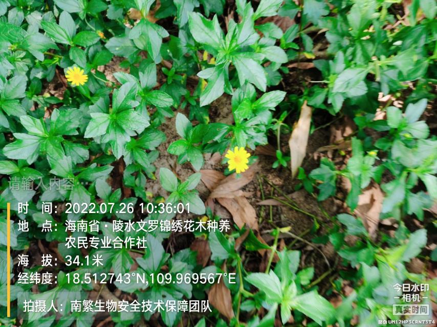 请输入内容…