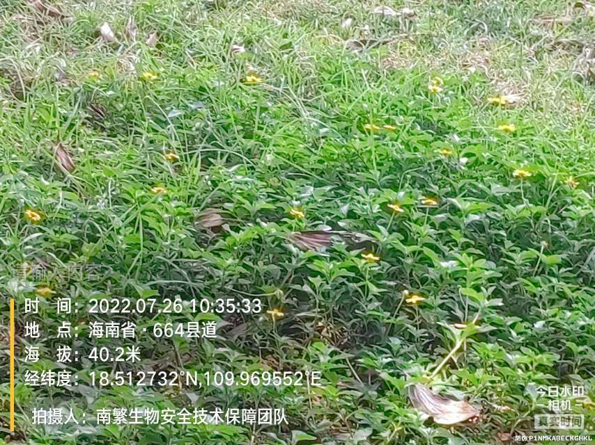 请输入内容…