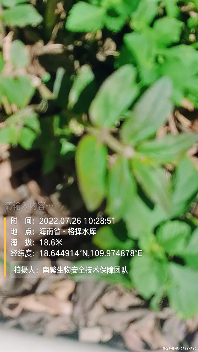请输入内容…