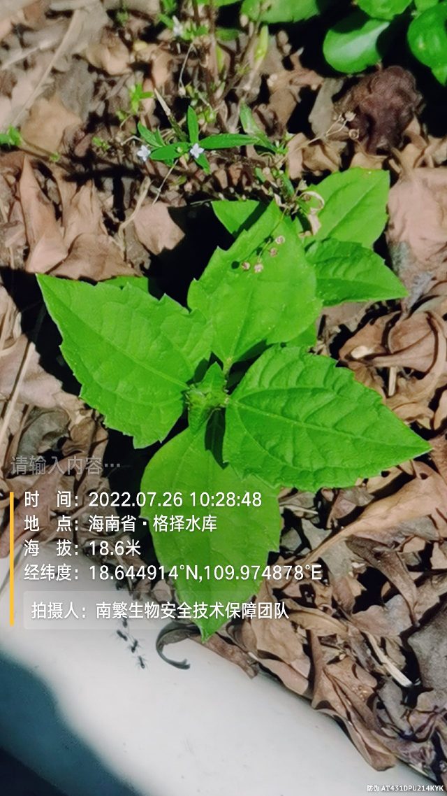 请输入内容…