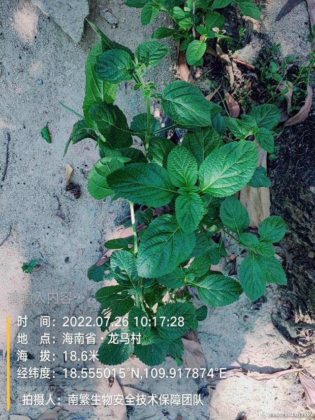 请输入内容…