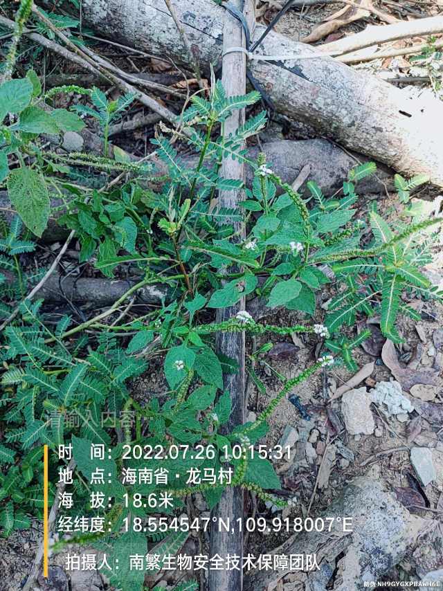 请输入内容…