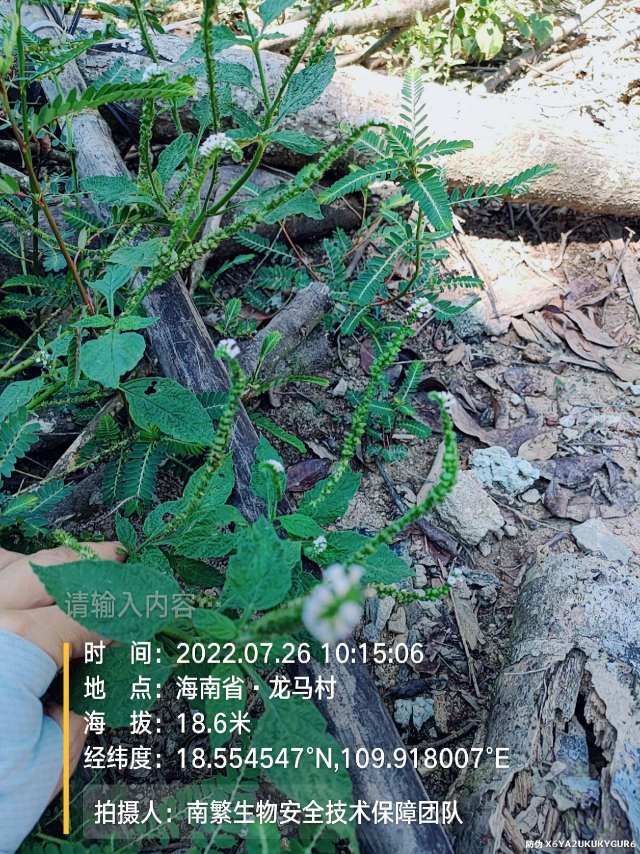 请输入内容…