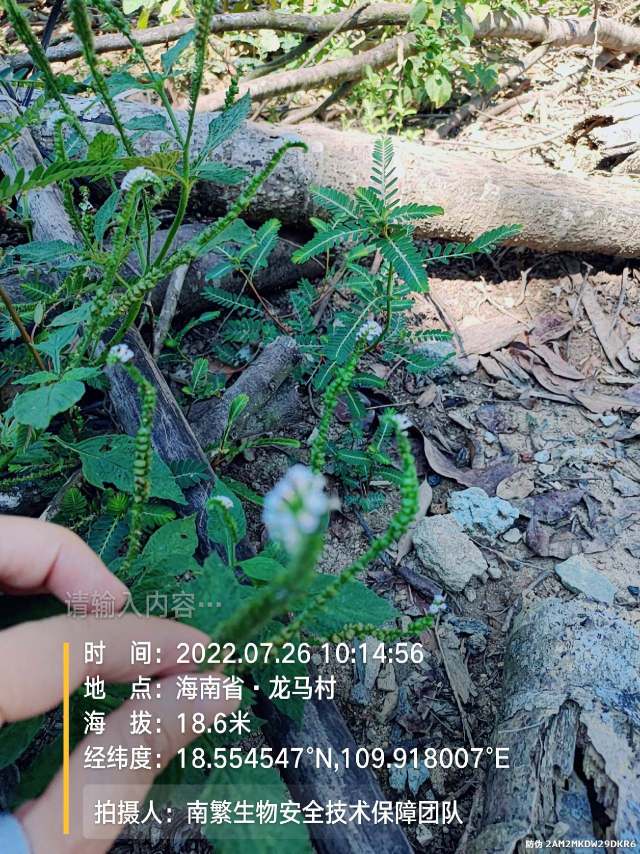 请输入内容…