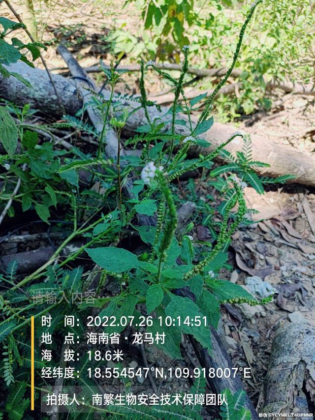请输入内容…