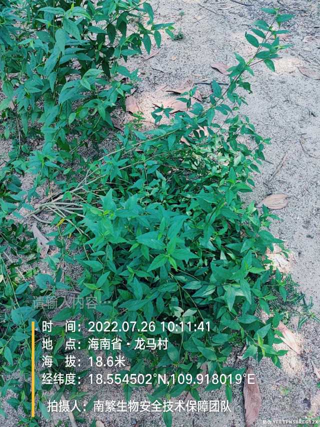 请输入内容…