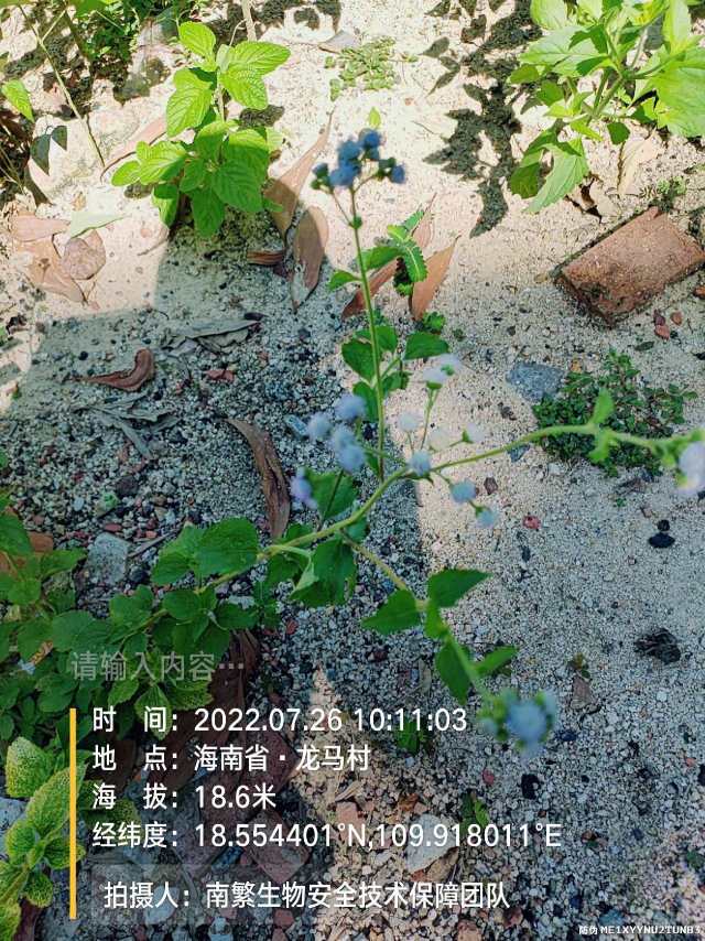 请输入内容…