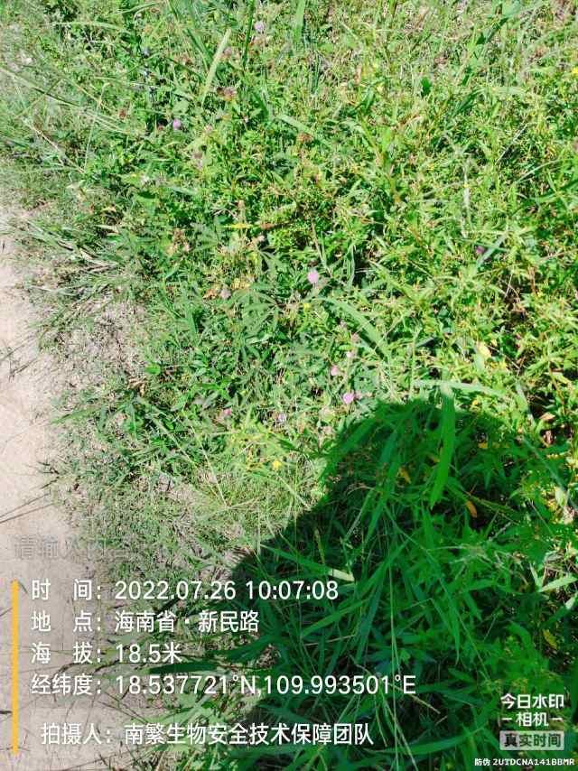 请输入内容…