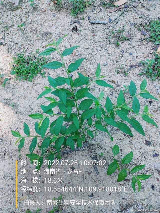 请输入内容…