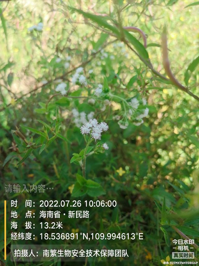 请输入内容…