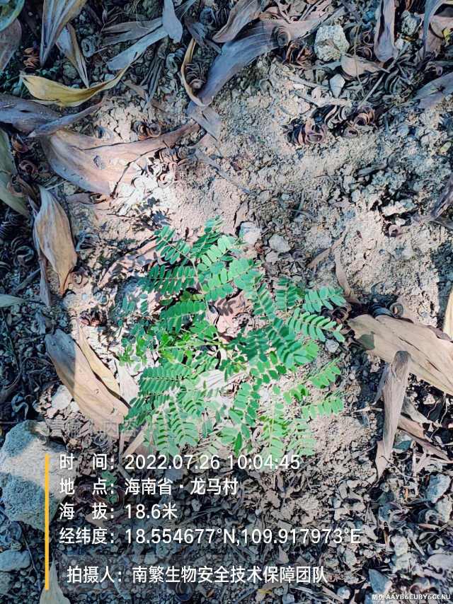 请输入内容…
