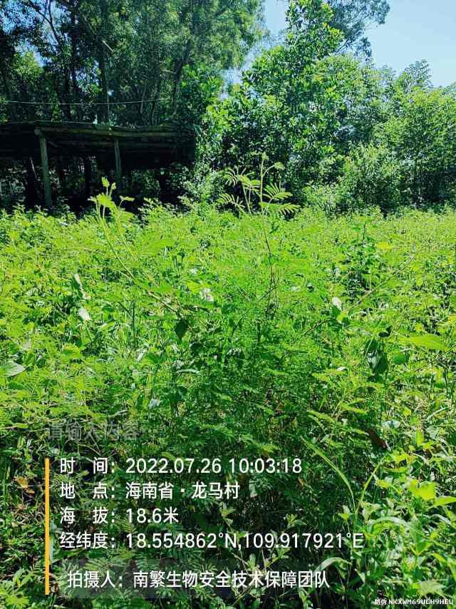请输入内容…
