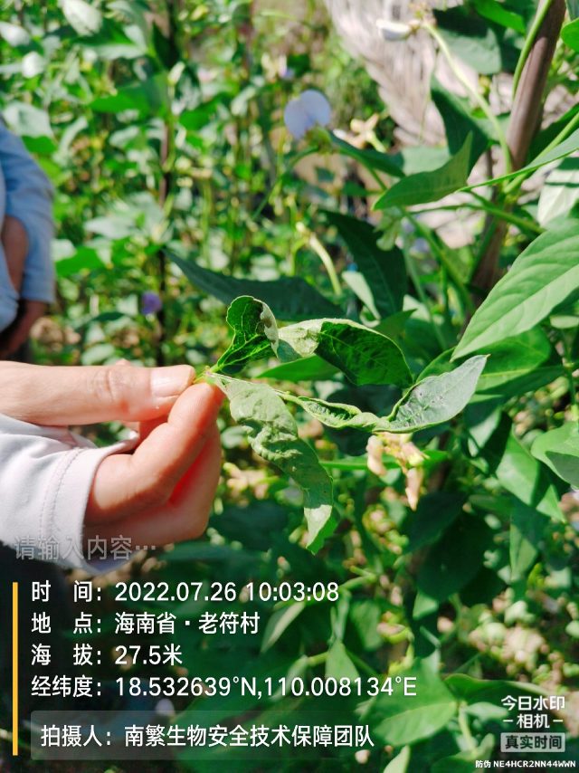 请输入内容…