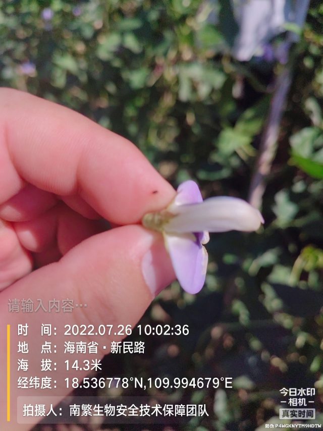 请输入内容…