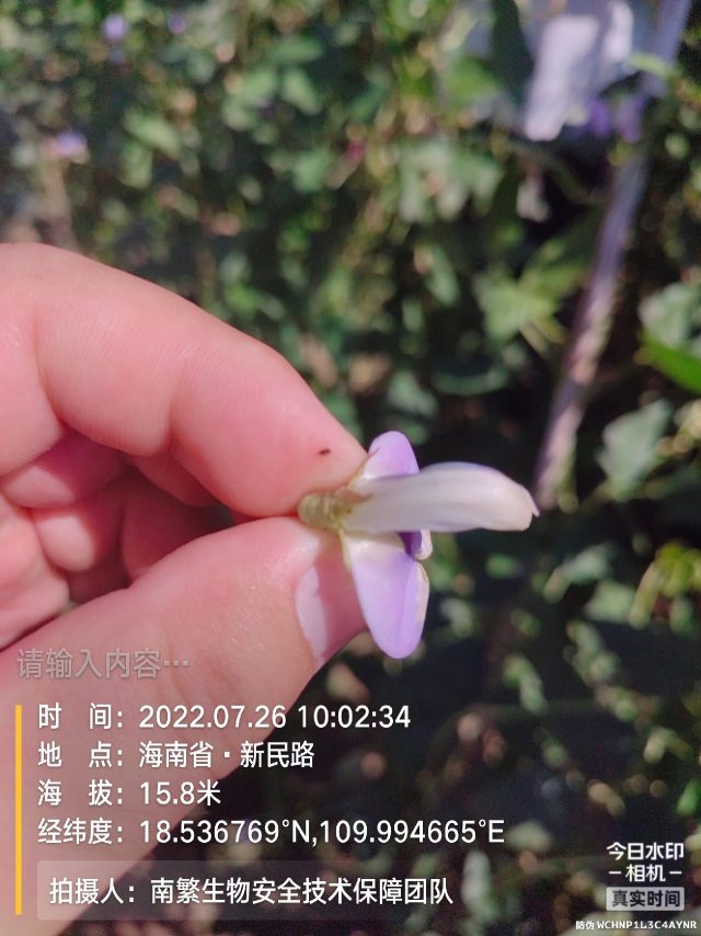 请输入内容…