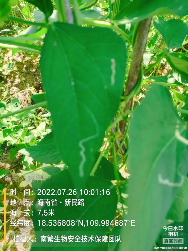 请输入内容…