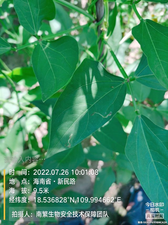 请输入内容…