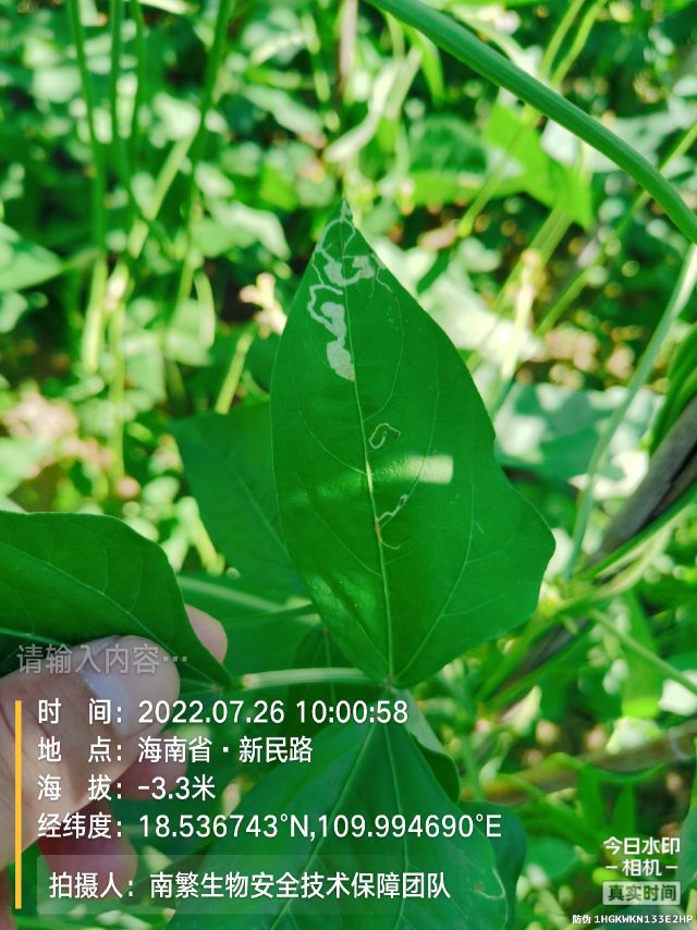 请输入内容…