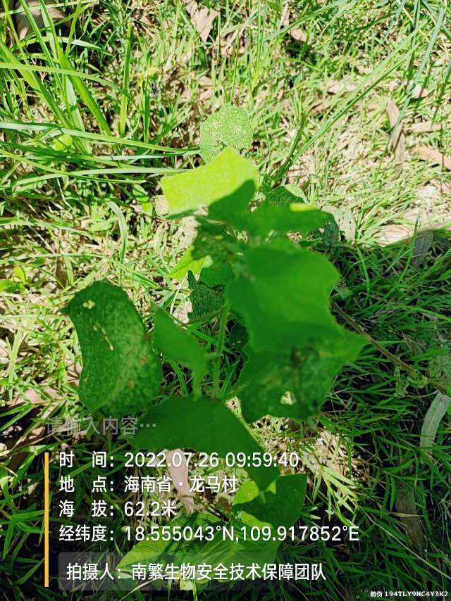 请输入内容…