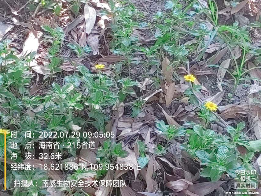 请输入内容…