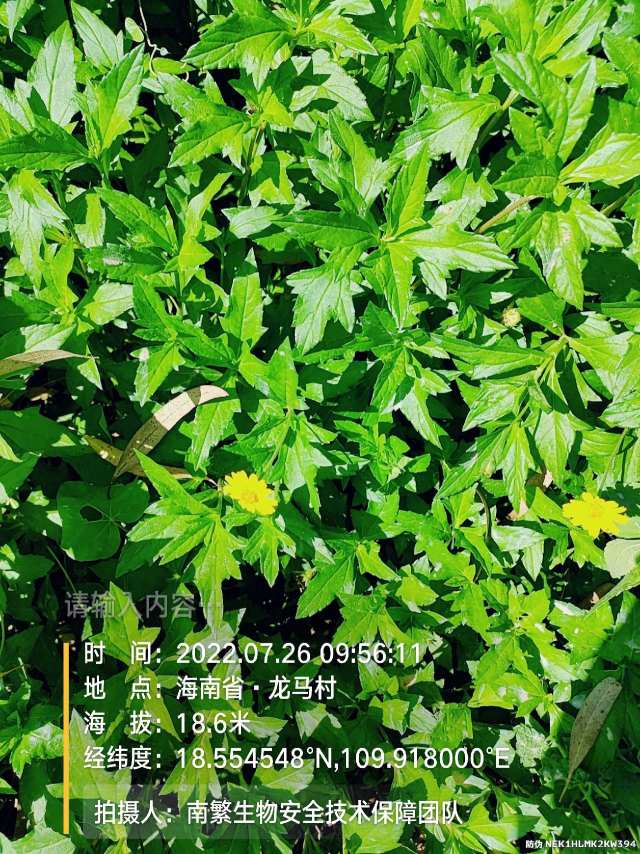 请输入内容…