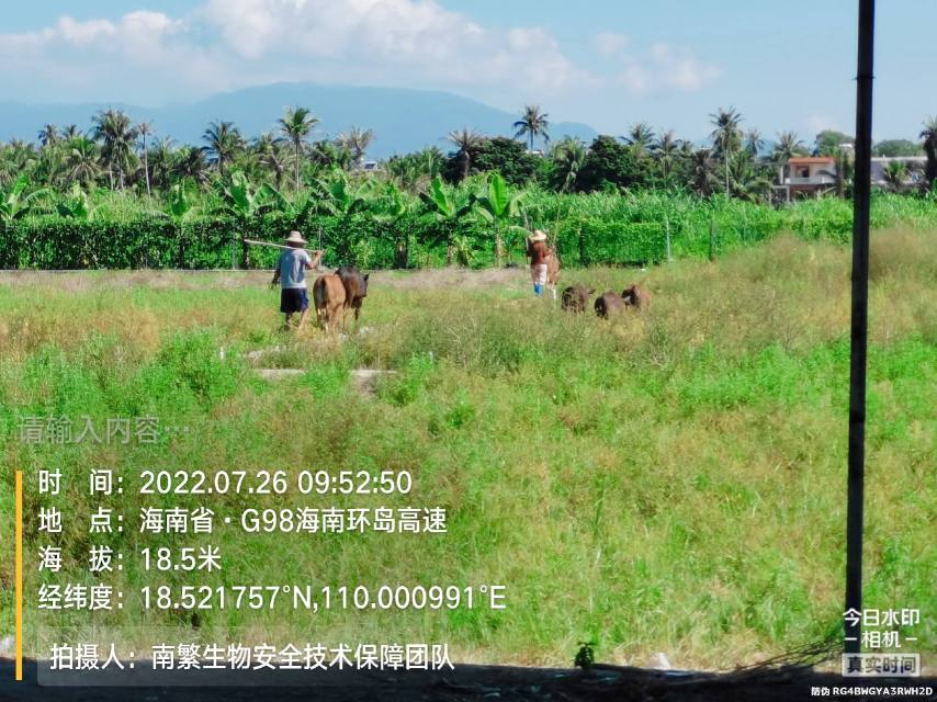 请输入内容…