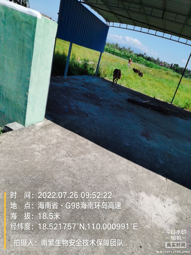 请输入内容…