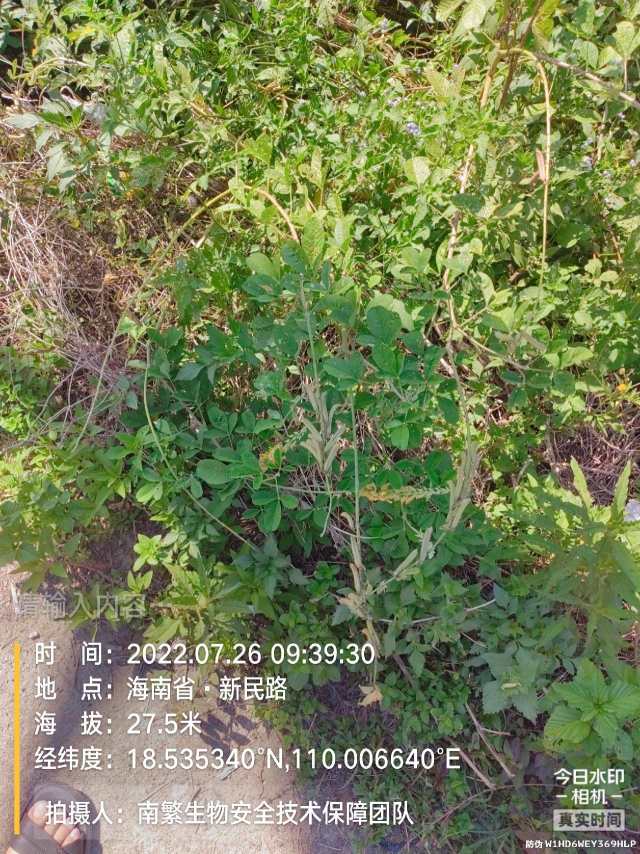 请输入内容…