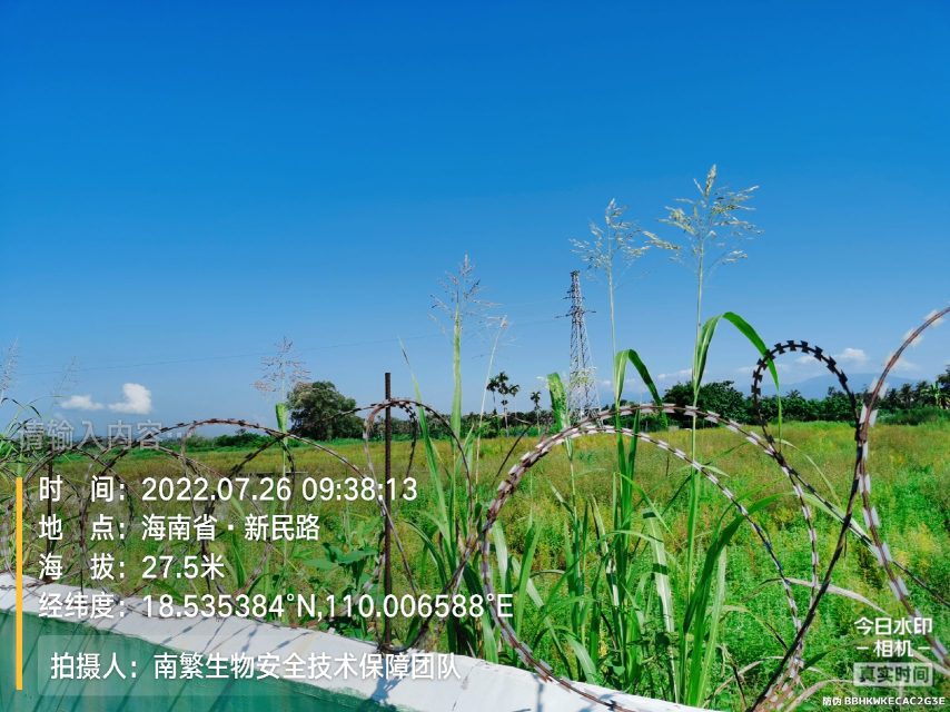 请输入内容…