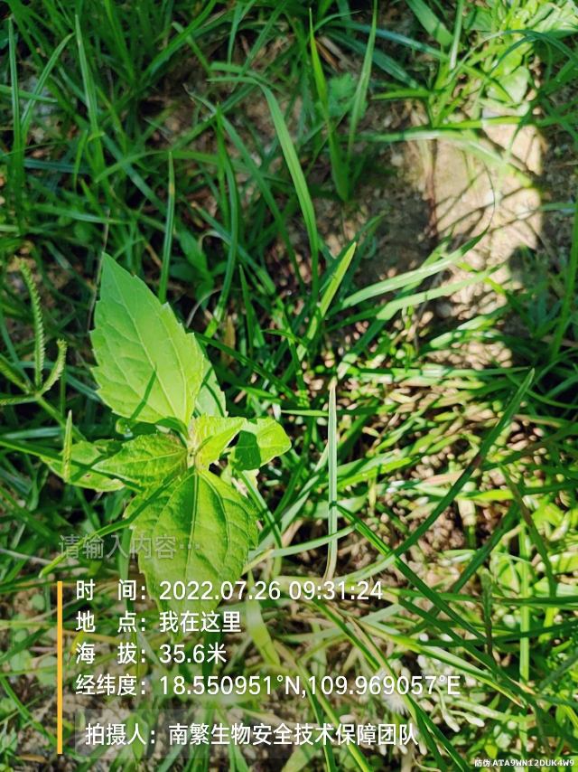 请输入内容…