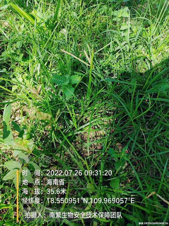 请输入内容…